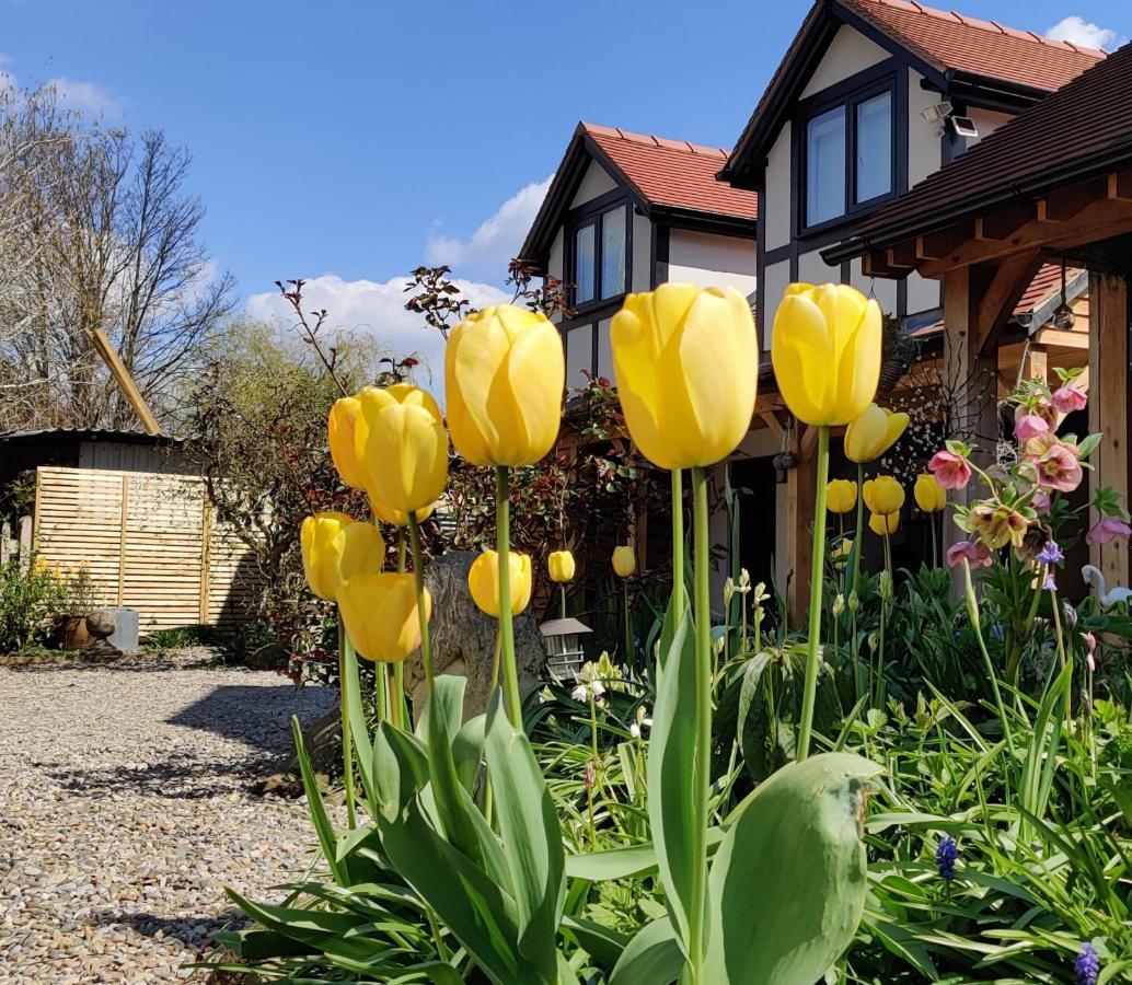 Delightful & Picturesque Modern Detached Apartment, Next To Chester Zoo, Near Park And Ride To City Centre 外观 照片